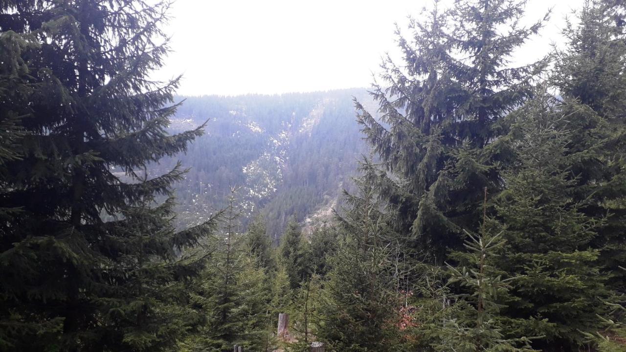 Pobyt V Krkonosich V Blizkosti Pece Pod Snezkou Horni Marsov Exterior photo